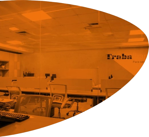 softex-office